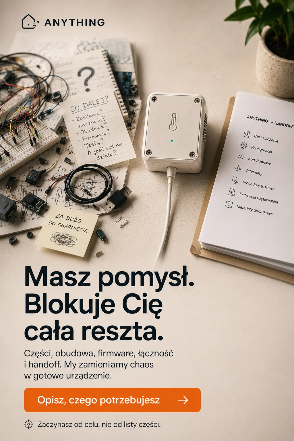 Anything reklama 11