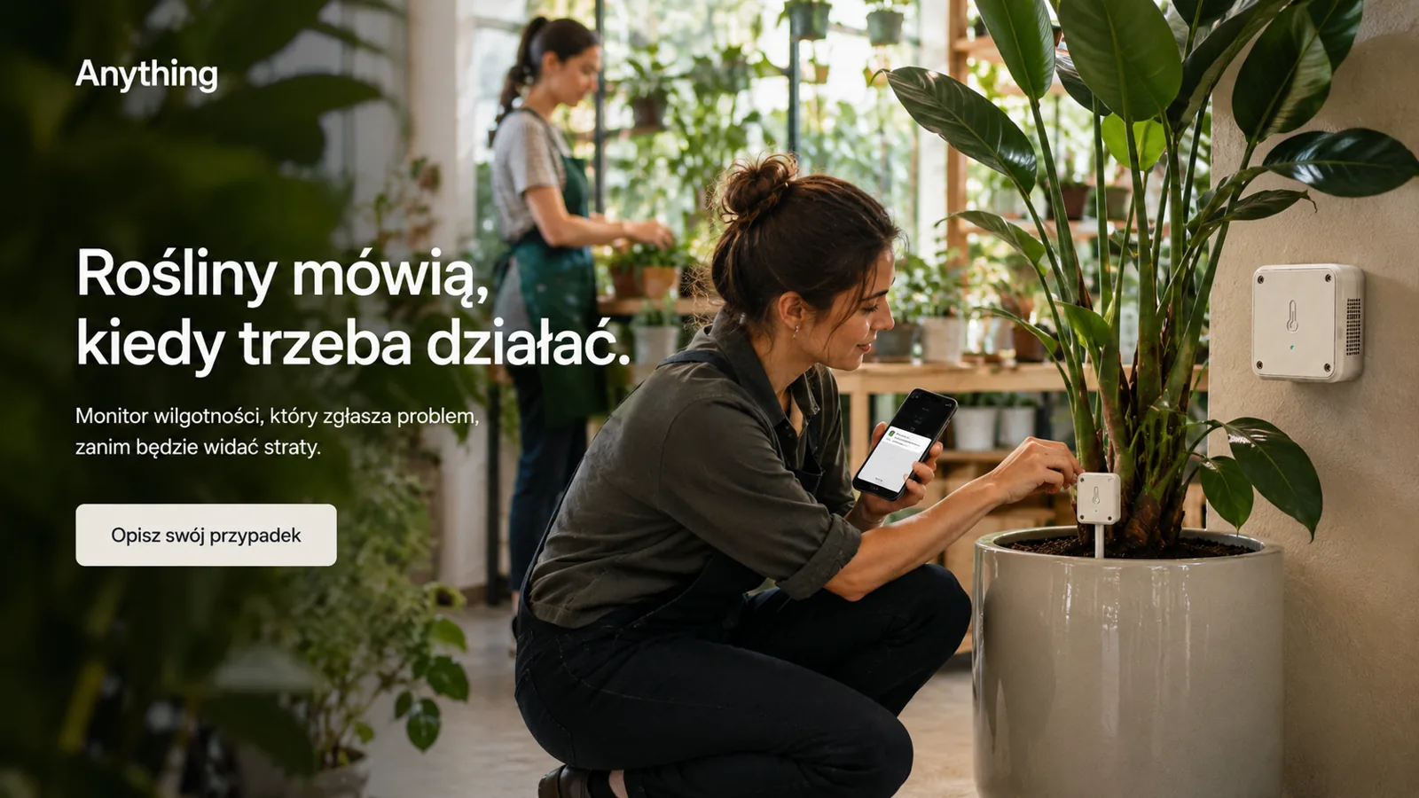 Anything dla biznesu - material 3